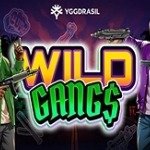 Wild Gangs